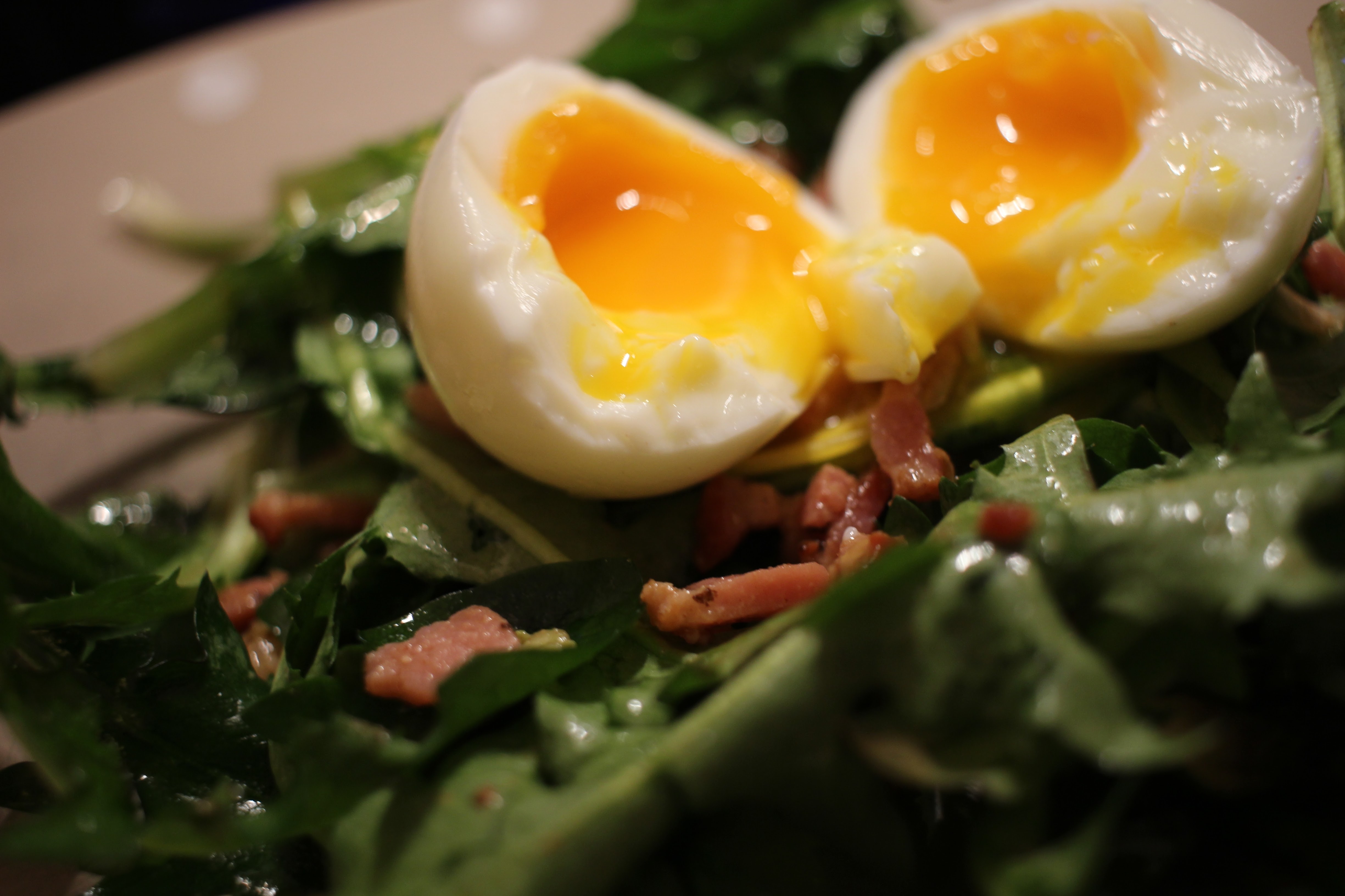 Salade de pissenlits
