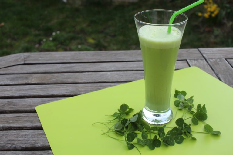 milskshake vert vanille menthe