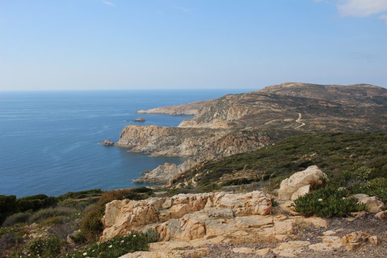 Corse