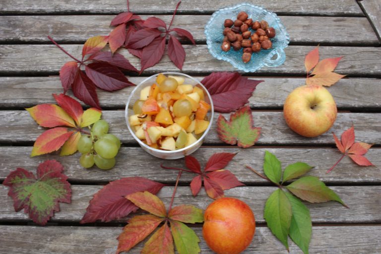 salade de fruits d'automne