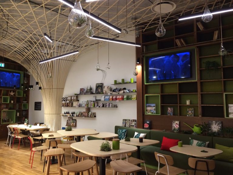 NewTree Café