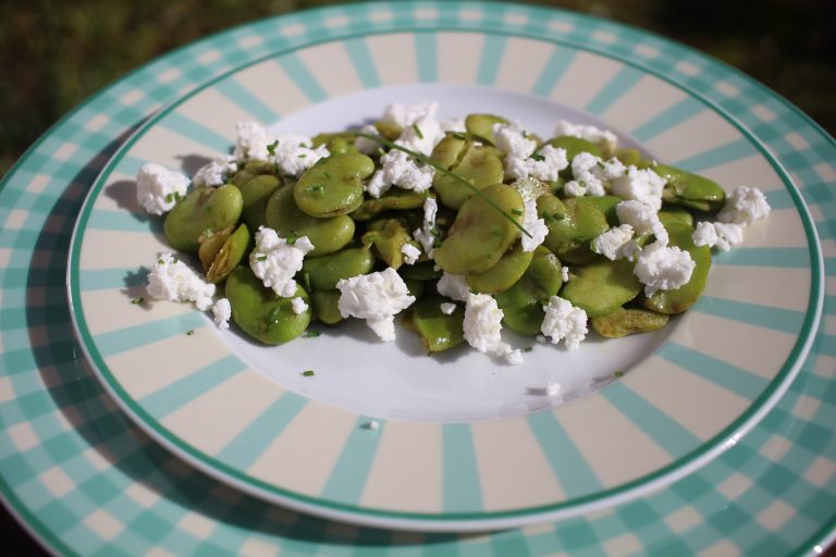 salade de fèves