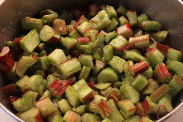 compote de rhubarbe avant cuisson