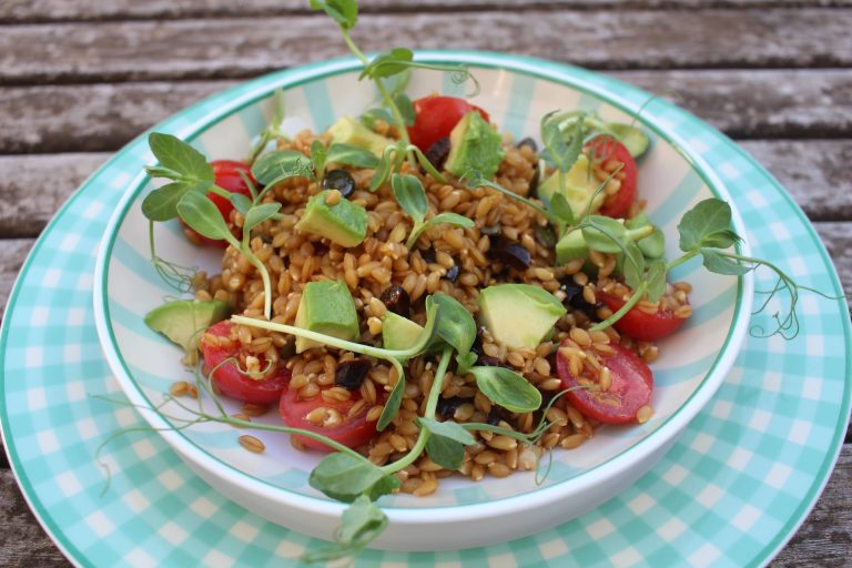 salade de petit épeautre aux micropousses